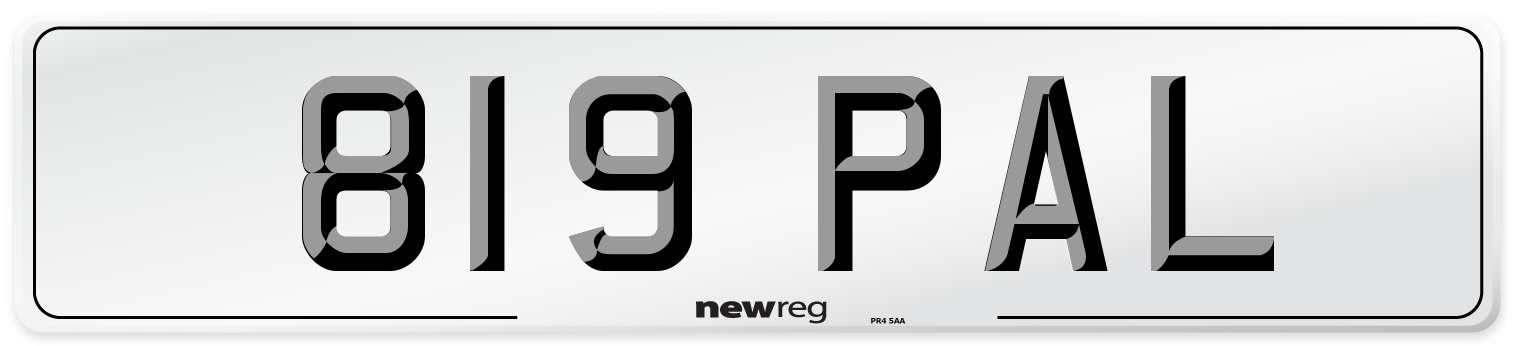 819 PAL Number Plate from New Reg